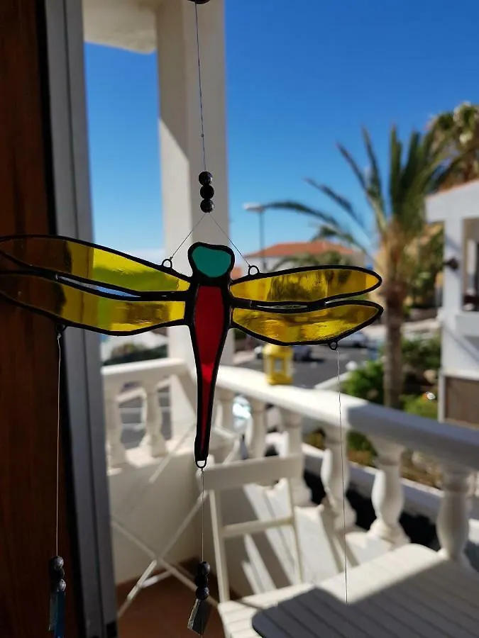 The Magic Dragonfly! Hotel Santa Cruz de Tenerife